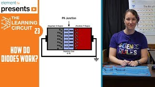 How Diodes Work  The Learning Circuit [upl. by Romonda]