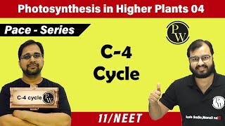 Photosynthesis in higher Plants 04  C4 Cycle  Class 11  NEET  Pace Series [upl. by Daryl]