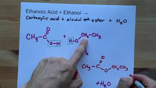 Ethanoic Acid  Ethanol   Ester Reaction [upl. by Hadihahs922]