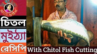 Chital Muitha Recipe  চিতল মাছের মুইঠ্যা Amazing Chitol Fish Cutting  Big Clown Knifefish Slicing [upl. by Eiramyllek]