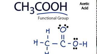 CH3COOH Lewis Structure Acetic acid [upl. by Pacificia]