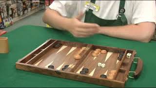 How to Play Backgammon [upl. by Ailemap]