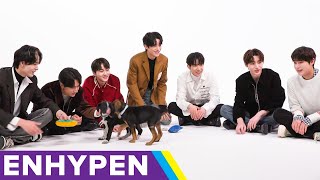 ENHYPEN The Puppy Interview [upl. by Yvonner729]