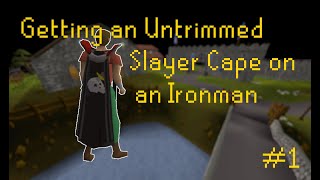 Untrimmed Slayer Cape  In Medias Res 1 [upl. by Leuqim]