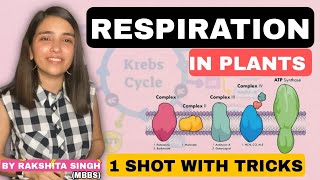 Respiration In Plants  Class 11 NCERT  One Shot  Best Biology Crash Course  Rakshita Singh [upl. by Nnyroc12]