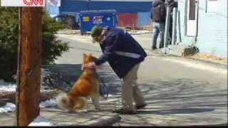 Hachiko A Dogs Story Behind The Scenes [upl. by Aip912]