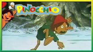 Pinocchio  Episodio 6  Dalla fata buona [upl. by Zoila]