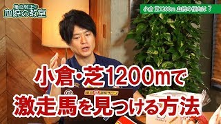 60万馬券も夢じゃない 小倉芝1200mで使える血統法則亀谷敬正 [upl. by Yeltrab]