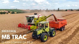 MB Trac 1000  Claas Dominator 88 s  Dreschen 2020  Sound [upl. by Lah830]