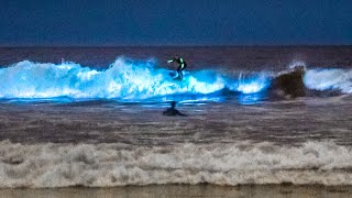 Unbelievable Bioluminescent Beach California [upl. by Akela]