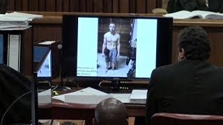 Photo Shows Pistorius Drenched In Blood Day Ten Of Trial [upl. by Jeffers]