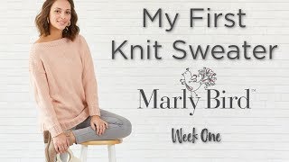 BEGINNER My First Knit Sweater  Week 1 [upl. by Ramburt]