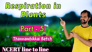 Respiration in plants class 11  Part 3  NCERT line by line explained [upl. by Elsi]