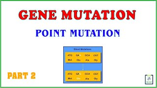 Gene mutation  Point mutation  Part 2 [upl. by Zeena985]