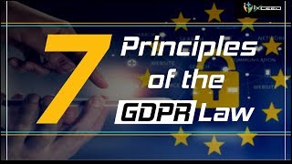 7 Principles of GDPR Law [upl. by Virgilio]