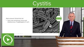 Cystitis Definition Causes and Epidemiology – Infectious Diseases  Lecturio [upl. by Elinnet]