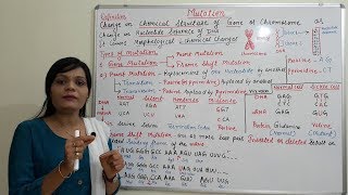 Class 29  Mutation Part 01  Introduction to Mutation and Types  Point amp Frameshift Mutation [upl. by Fayth]