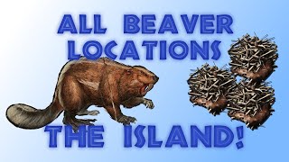 All Beaver Spawn Locations On The Island  Ark Survival Evolved 2021 [upl. by Adekram]