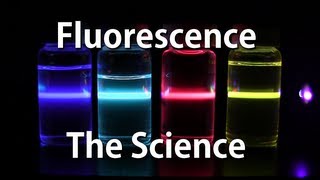 How Fluorescence Works  The Science [upl. by Norwood]