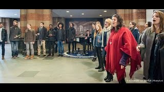 Flashmob Amsterdam Centraal [upl. by Fasta]