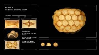 Microbial Cellulose [upl. by Yeliac]