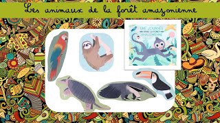 Leçon maternelle  Les animaux de la forêt amazonienne [upl. by Ahseele]