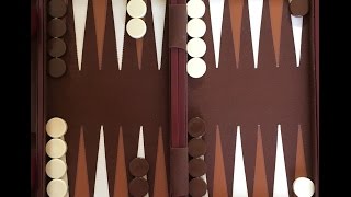 How To Play Backgammon [upl. by Dame]