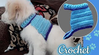 Ropa para Cachorros Tejida a crochet 🐶🐱 Perros y gatos Todas las tallas [upl. by Eadnus]