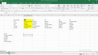 Results of Likert Scale on Excel [upl. by Newob536]