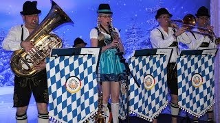 Bavarian quotoompahquot Band [upl. by Walt966]