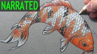 How to Draw a Fish quotKoiquot Narrated StepbyStep [upl. by Yelyab860]