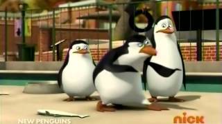 The Penguins of Madagascar  The quotManfredi and Johnsonquot Comedy [upl. by Gaal]