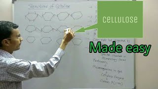 Polysaccharides structure  Cellulose [upl. by Eliza]