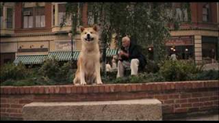 Hachiko A Dogs Story my clip [upl. by Cirted]