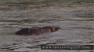 Jack Brittinghams Tanzania Adventures  Archery Hippo Hunt [upl. by Kanter]