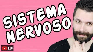 SISTEMA NERVOSO  FISIOLOGIA  Aula  Biologia com Samuel Cunha [upl. by Derwon]