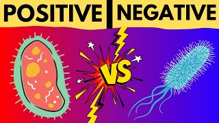 GRAM POSITIVE VS GRAM NEGATIVE BACTERIA  GRAM STAINING TECHNIQUE MADE EASY  EXPLAINED IN 5 MINUTES [upl. by Warfourd]