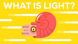 What Is Light [upl. by Zertnom72]