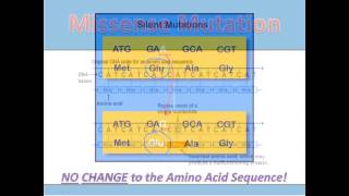 Substitution Mutations [upl. by Eceerehs]