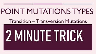 Types of Point Mutation II Transversion Transition  Neutral silent and missense mutation [upl. by Etnovad792]