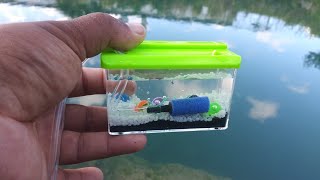 WORLDS SMALLEST Fish AQUARIUM REAL [upl. by Nylatsirhc450]