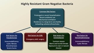 Antibiotics for Gram Negative Infections Antibiotics  Lecture 5 [upl. by Ennybor]