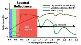 Spectral Reflectance Curves What is Remote Sensing [upl. by Ajiam617]