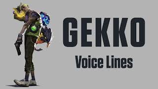 Gekko Voicelines ValorantEN [upl. by Ehgit875]