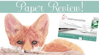 Hahnemuhle Harmony P Watercolor Paper Review  First Impression Friday [upl. by Leifer534]