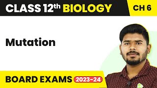 Mutation  Molecular Basis of Inheritance  Class 12 Biology 202223 [upl. by Daub690]