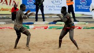 La Lutte  Senegalese Wrestling in Dakar  Championship [upl. by Athey]