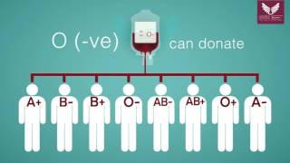 Blood Donation Guide [upl. by Cai]