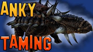 Ark How To Tame A Ankylosaurus  Ark Survival Evolved [upl. by Amikay696]