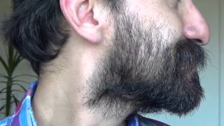 Crecimiento de la barba semana a semana [upl. by Barbra145]